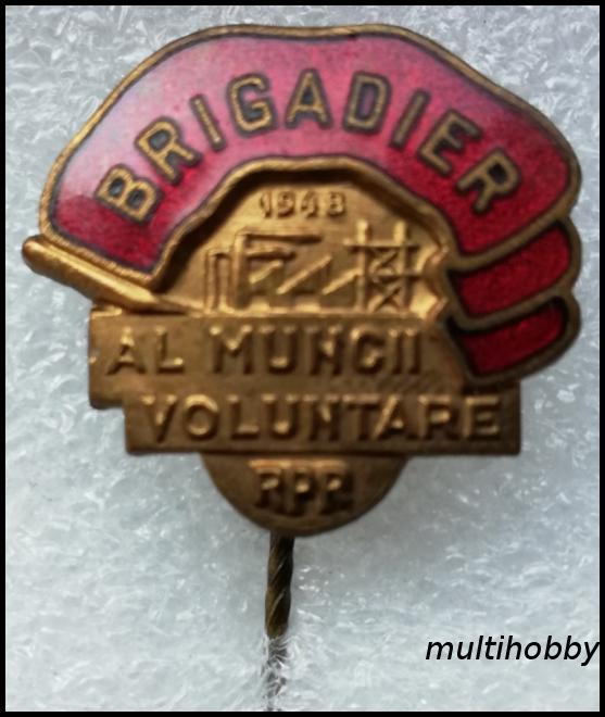 Insigna - Brigadier al muncii voluntare