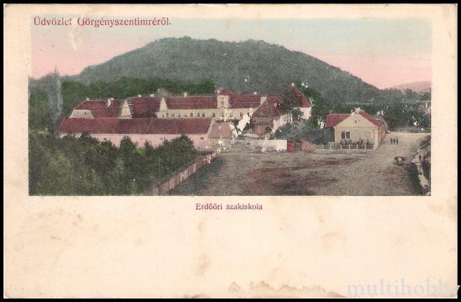 Carte postala - Scoala silvica