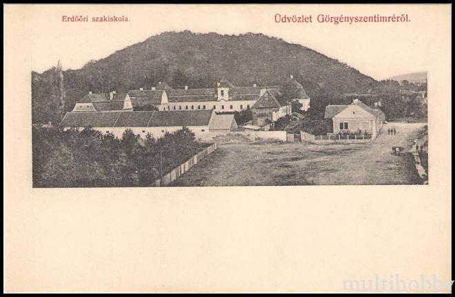 Carte postala - Scoala silvica