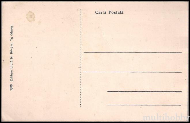 Carte postala Tirgu Mures - Palatul cultural si conservatorul orasenesc/img/carti_postale/Tg-Mures0068_b.jpg