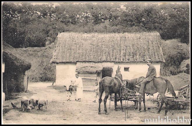 Carte postala Tirgu Mures - Gospodatie taraneasca