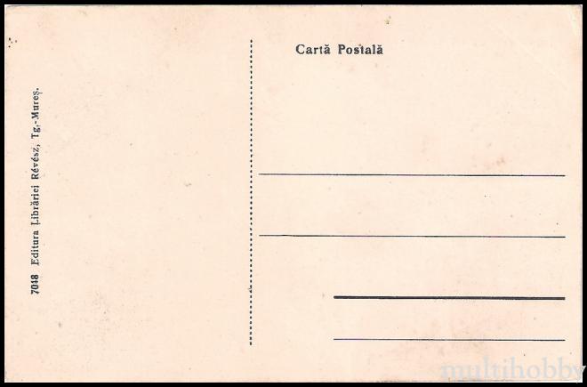 Carte postala Tirgu Mures - Primaria/img/carti_postale/Tg-Mures0267_b.jpg