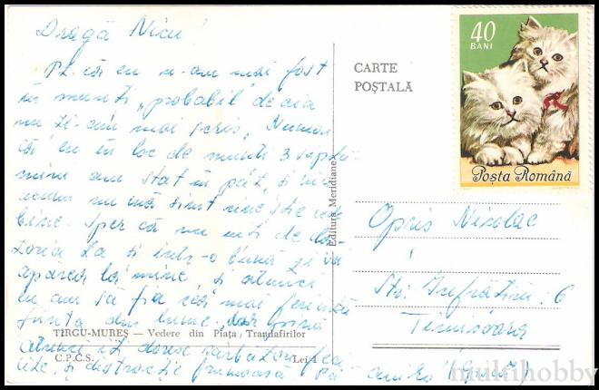 Carte postala Tirgu Mures - Centru - Piata Trandafirilor/img/carti_postale/Tg-Mures0616_b.jpg