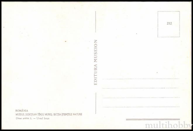 Carte postala Tirgu Mures - Muzeul Judetean - Sectia Stiintele naturii - Ursul brun/img/carti_postale/Tg-Mures0867_b.jpg