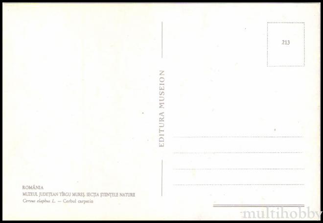 Carte postala Tirgu Mures - Muzeul Judetean - Sectia Stiintele naturii - Cerbul carpatin/img/carti_postale/Tg-Mures0869_b.jpg