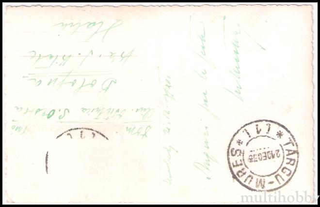 Carte postala Tirgu Mures - Parcul Liceului militar/img/carti_postale/Tg-Mures1741_b.jpg