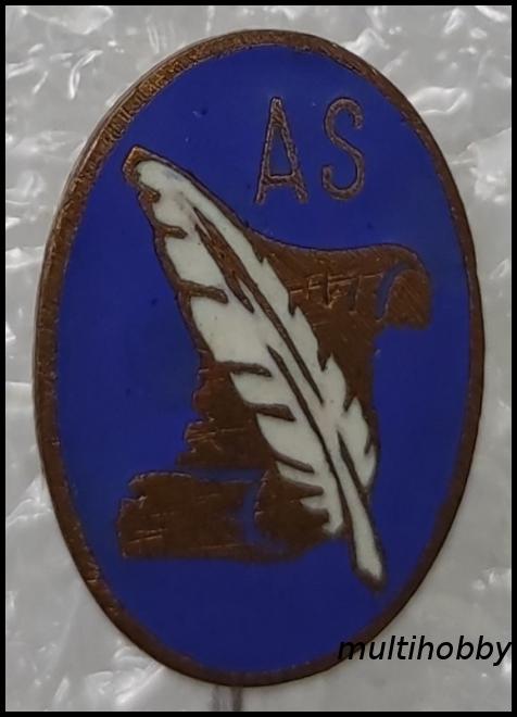 Insigna - 13