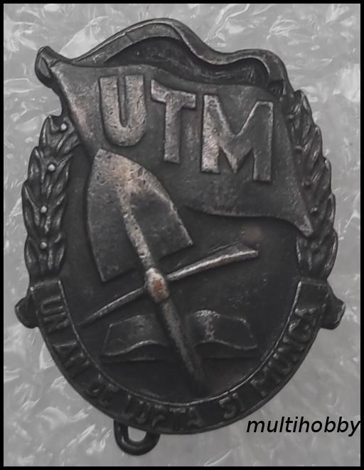 Insigna - .Un an de lupta si munca