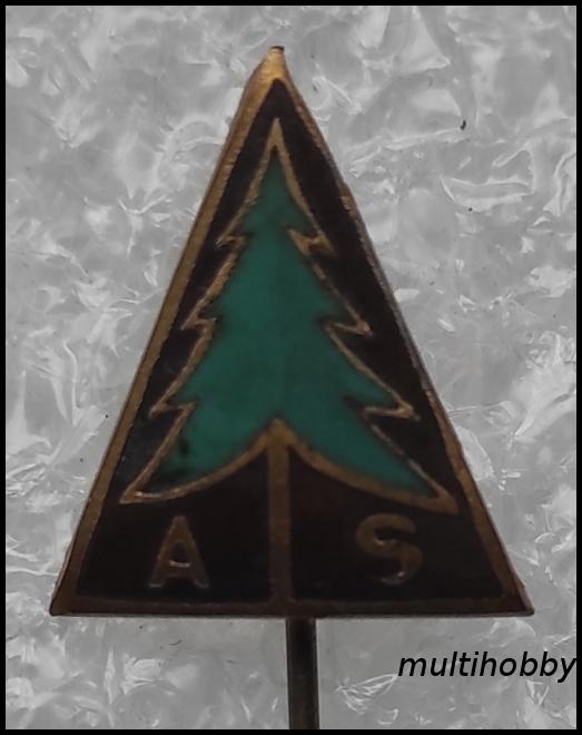 Insigna - 16