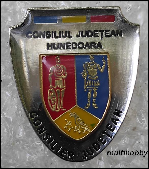 Insigna - *Consiliu judetean Hunedoara <br> Consilier Judetean