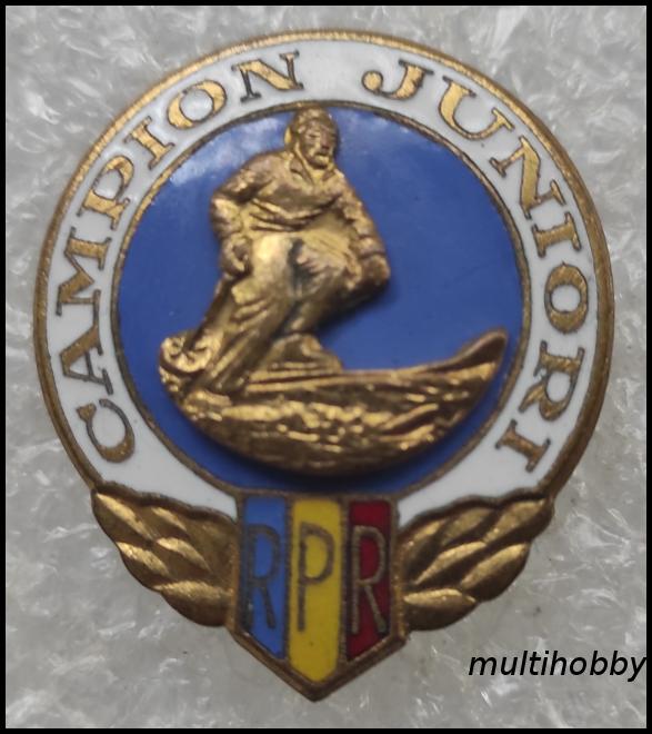 Insigne - Campion junior Schi