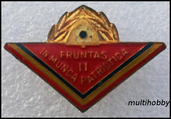 Insigna - Fruntas in munca patriotica <br /> clasa II