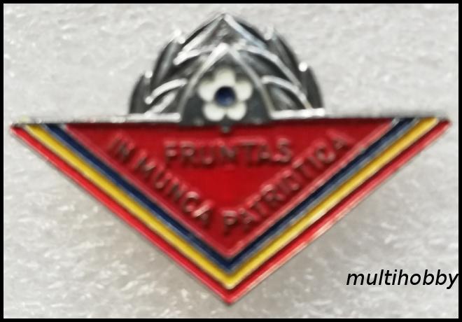 Insigna - Fruntas in munca patriotica