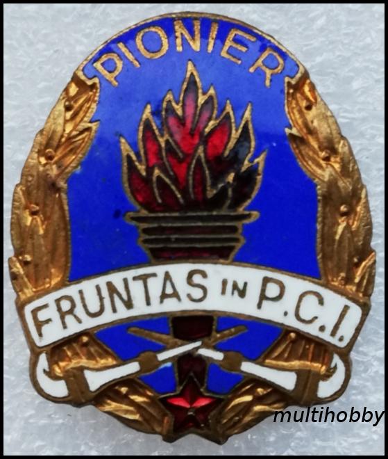 Insigna - Fruntas in P.C.I.