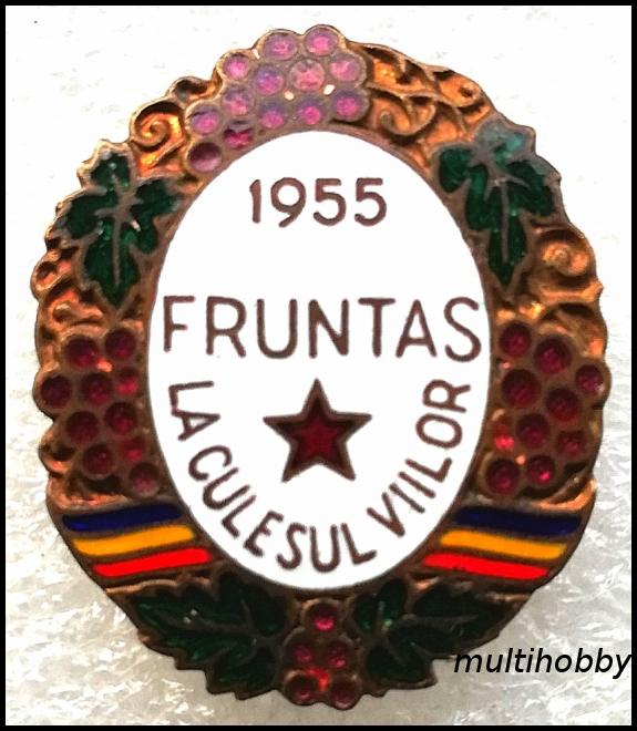 Insigna -  1955 Fruntas la culesul viilor