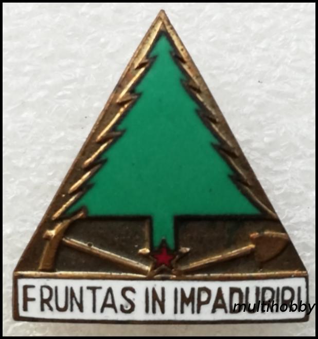 Insigna - Fruntas in impaduriri