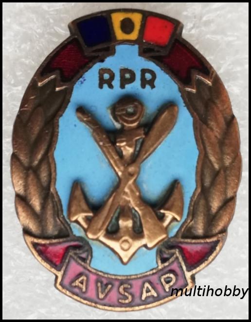 Insigna - AVSAP