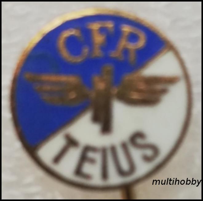 Insigna - CFR Timis