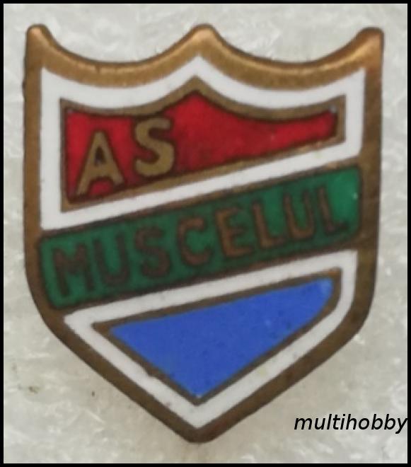 Insigna - Asociatia Sportiva Muscelul