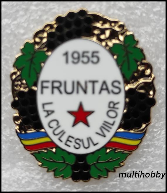 Insigna - 1955 Fruntas La Culesul Viilor