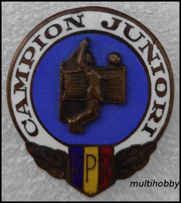 Insigna - Campion junior RPR<br/>Volei