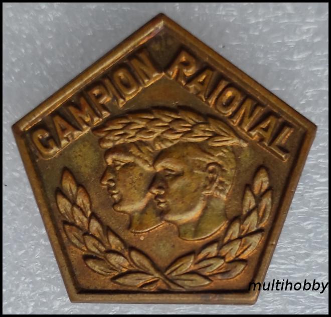 Insigna - ***Campion Raional