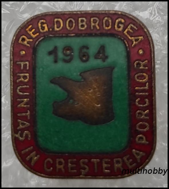 Insigna - Fruntas in cresterea porcilor<br/> Regiunea Dobrogea<br/> 1964