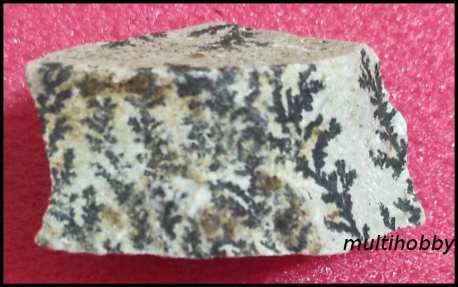 Mineral - Piatra de pe Muntele Sinai
Dendrite de oxid de mangan 
in gresie