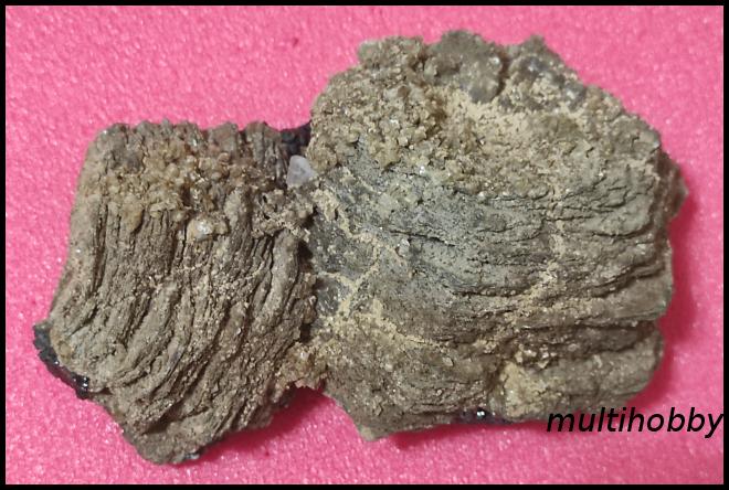 Mineral - Marcasita in frunza
Pirotina cu 
Siderit si 
Limonit
