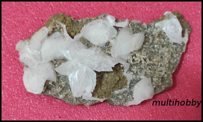 Mineral - Florocalcita in frunze,candva a avut apa in ea ,pe
Siderit