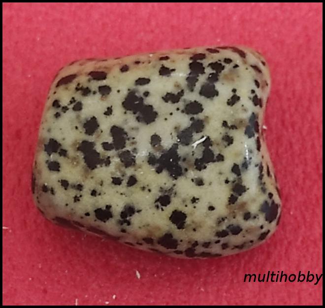 Mineral - Japs dalmatian