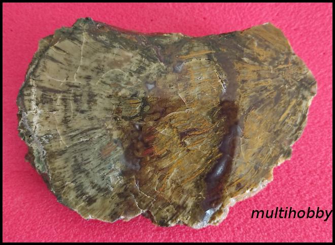 Mineral - Lemn agatizat
