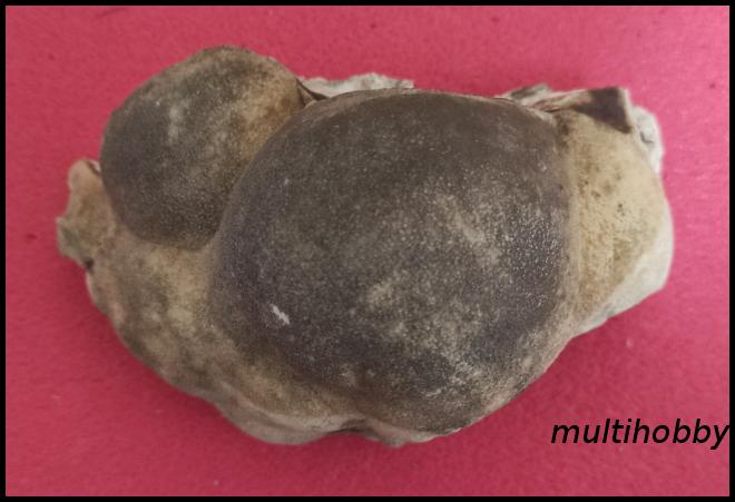 Mineral - Calcita Mamelara