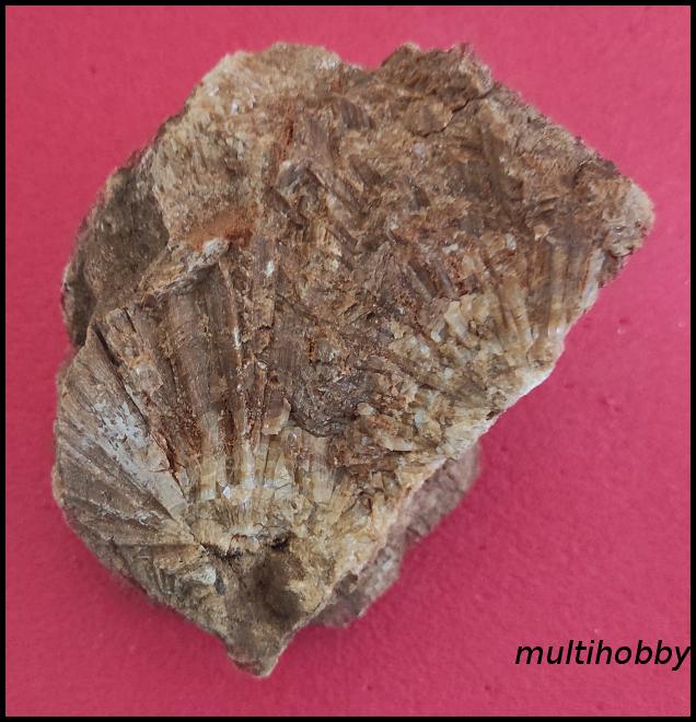 Mineral - Aragonit evantai