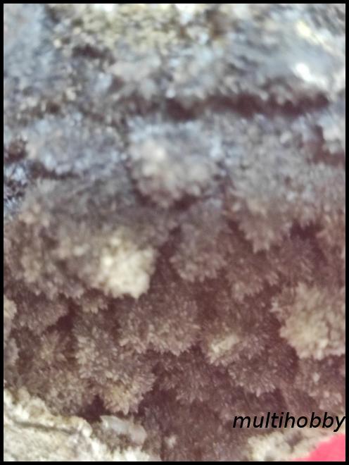 Mineral - Aragonit 
(Floare de Fier)cu 
Limonit