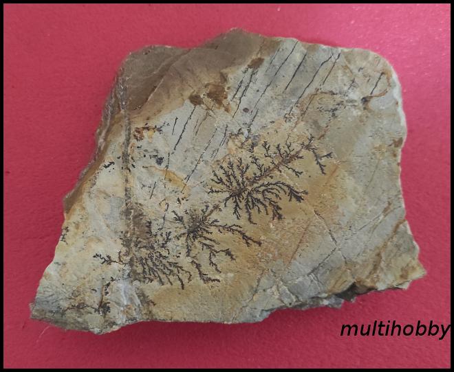 Mineral - Dendrite mangan